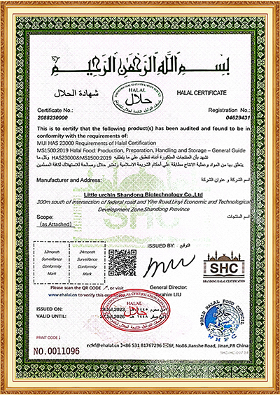 CERTIFICATE1