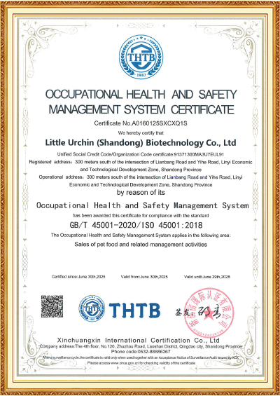 Occupational-Health-And-Safetymanagement-System-Certificate