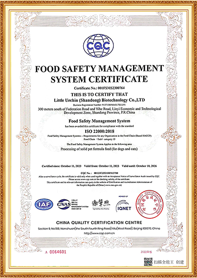 CERTIFICATE6