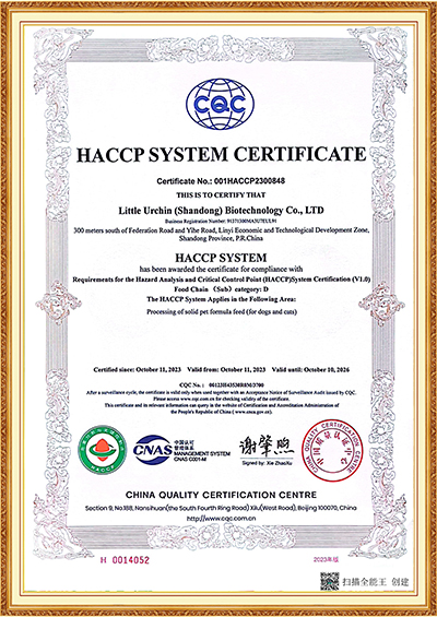 CERTIFICATE4